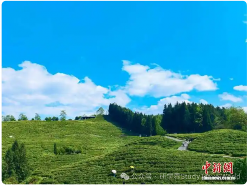 春假邂逅清明小长假 “行走的课堂”带火亲子研学游 春假邂逅清明小长假 “行走的课堂”带火亲子研学游