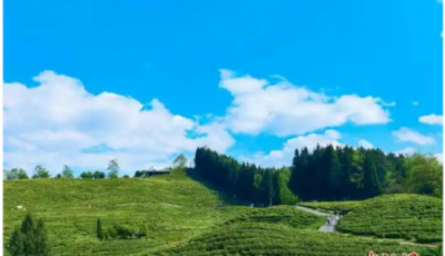 春假邂逅清明小长假 “行走的课堂”带火亲子研学游