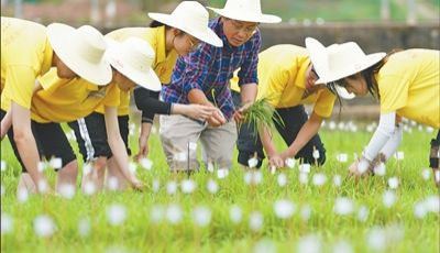 这个校园，“禾下乘凉梦”一直在生长
