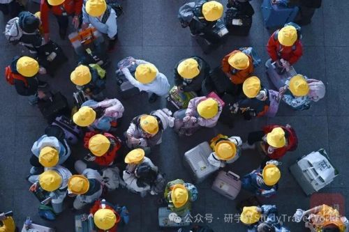 武汉小学生喊话 “恢复研学”，一句话戳中行业真相