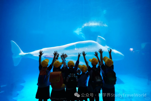 武汉小学生喊话 “恢复研学”，一句话戳中行业真相