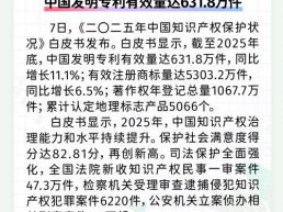 每日一闻丨中国发明专利有效量达631.8万件