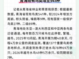 每日一闻丨青海现有鸟类增至541种