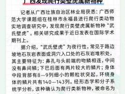 每日一闻丨广西发现爬行类壁虎属新物种