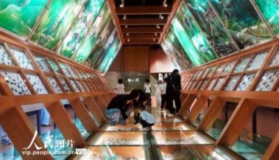云南昆明：博物馆里学知识