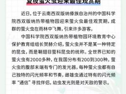 每日一闻丨夏夜萤火虫迎来最佳观赏期