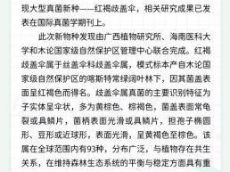 每日一闻丨科研人员在广西发现大型真菌新种