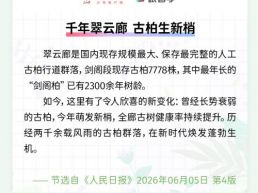 每日一闻丨千年翠云廊 古柏生新梢