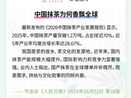每日一闻丨中国抹茶为何香飘全球