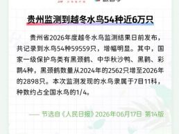 每日一闻丨贵州监测到越冬水鸟54种近6万只