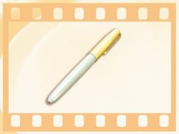 一支钢笔回延安