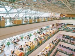 图书馆里品味书香