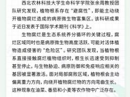 每日一闻丨我科研团队发现植物根系存在“避腐性”