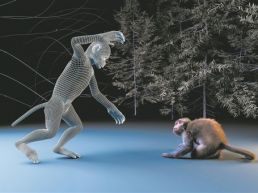科学家再次证实猴子也有“恐怖谷”效应