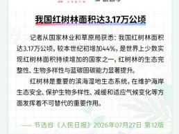 每日一闻丨我国红树林面积达3.17万公顷