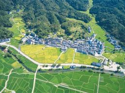 一瓷跨千年 文明越山海