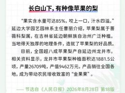每日一闻丨长白山下，有种像苹果的梨