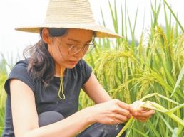 田野里的青春力量