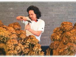 刀下见乾坤 木里有春秋