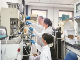 暗发酵生物制氢有了新思路
