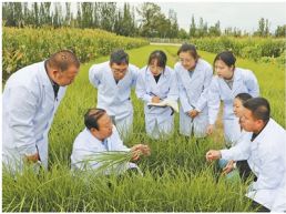 在田间地头 给土地“治病”（弘扬科学家精神）