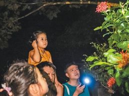 夜游热带雨林，解锁别样体验