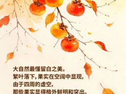 每日一句丨大自然最懂留白之美