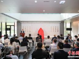 “社会运行论”标识性概念·原创性理论发布与研讨会举行