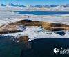 在青海海西，同上一堂“瀚海植绿”的思政课